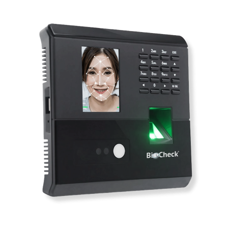 SerieC-2